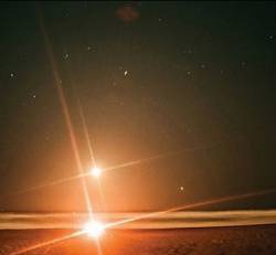 Barn Owl : Ancestral Star